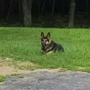 Meet your Posher, Miranda